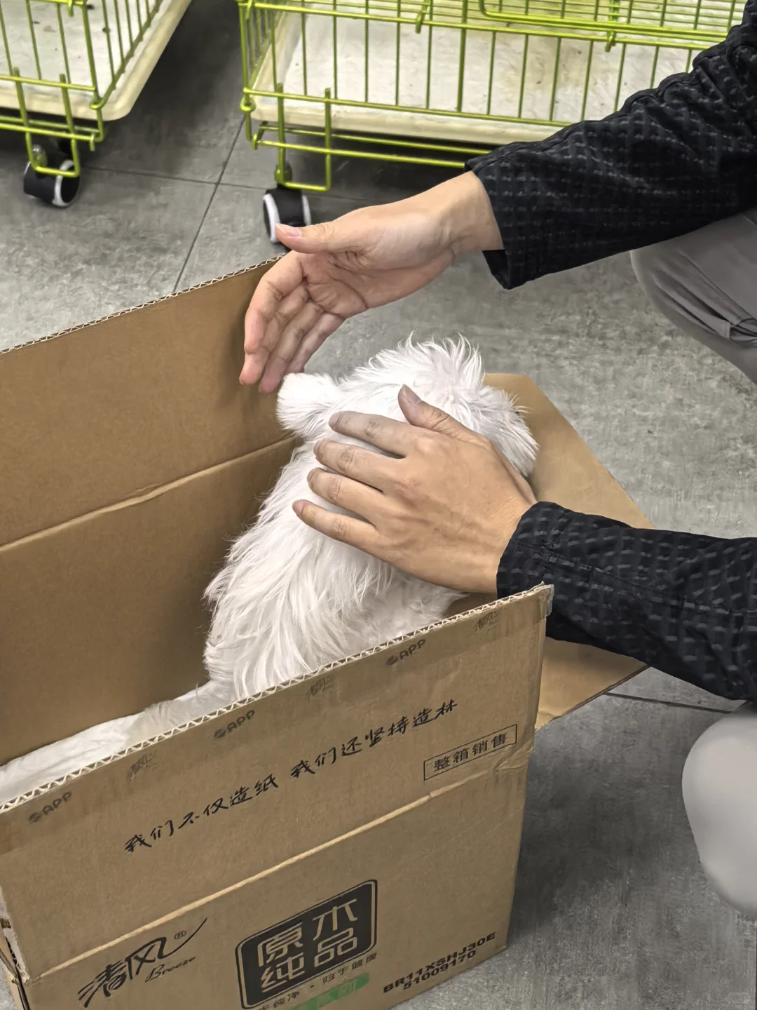 欢迎到家 小宝子