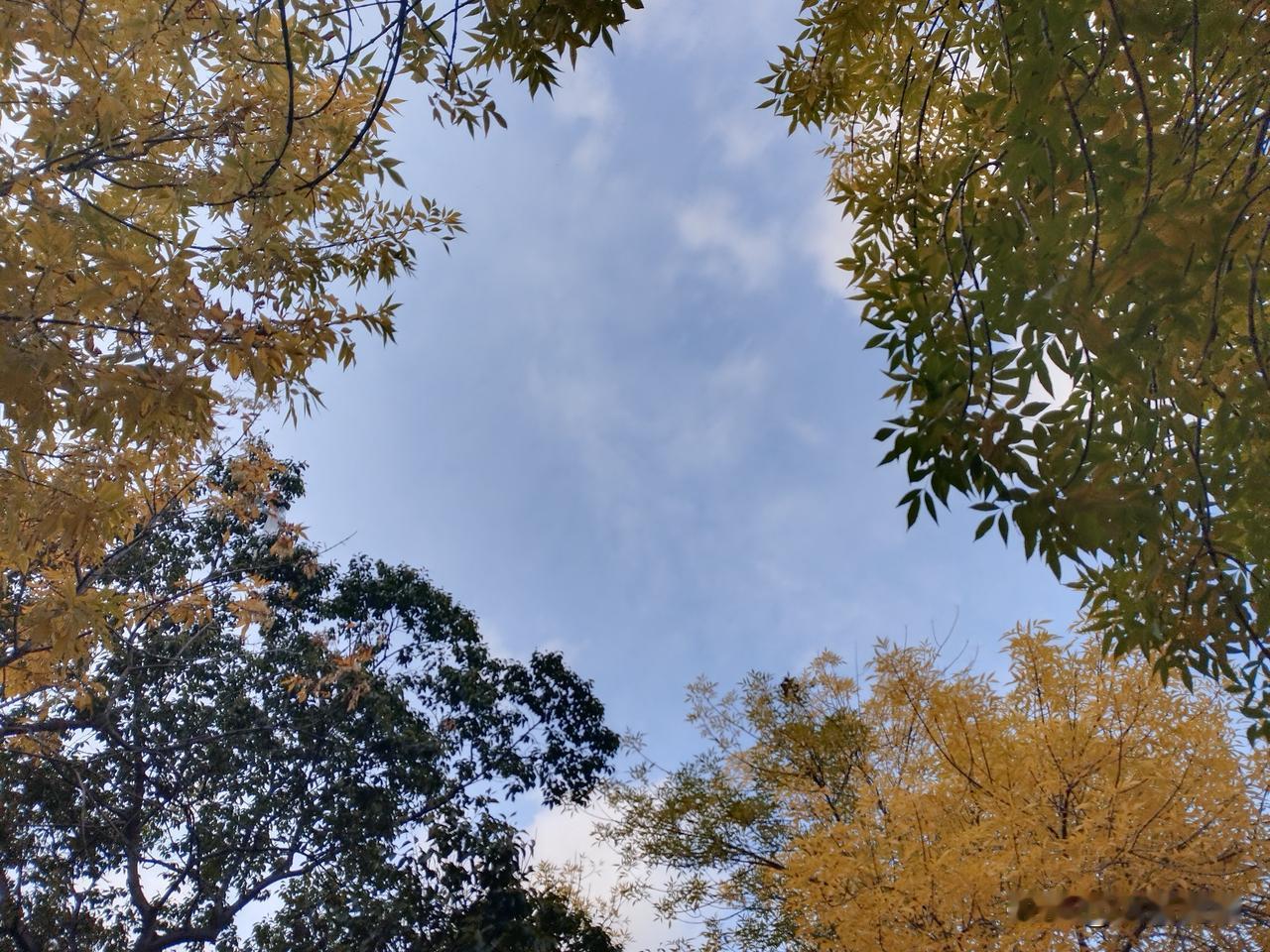 朋友问我：“你确认你是中国人吗？”我一头黑线…朋友说：“请回答以下问题，答对了，