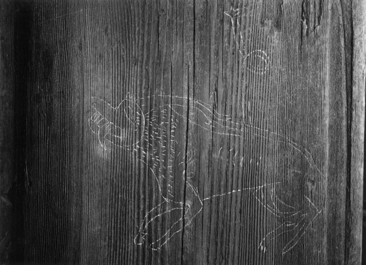 这是挪威戈尔斯塔夫教堂发现的11世纪中世纪涂鸦，刻在已有千年历史的木头上。涂鸦包