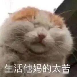 地球online穿模了 最后10秒，蒸汽机轰鸣着打破了能量限制，工业模块的加载让