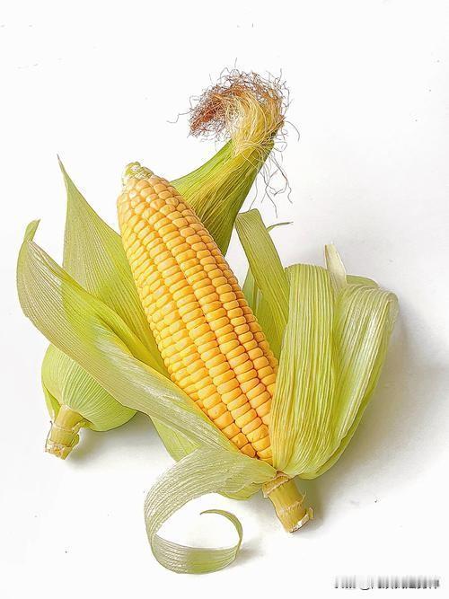 1.围绕“包”或“苞” (形容被叶子包裹)：

· 苞谷：这是在中国南方（如四川