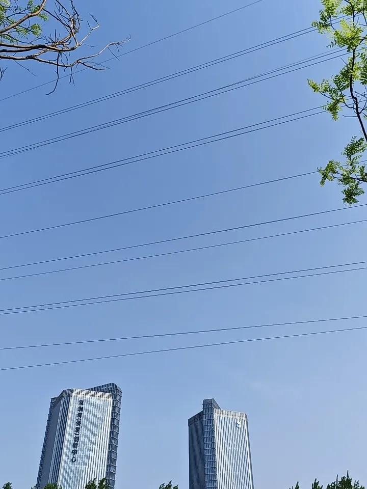 今天，保定市举行马拉松赛跑，天气为晴天，我在护城河河堤上，为他们加油。