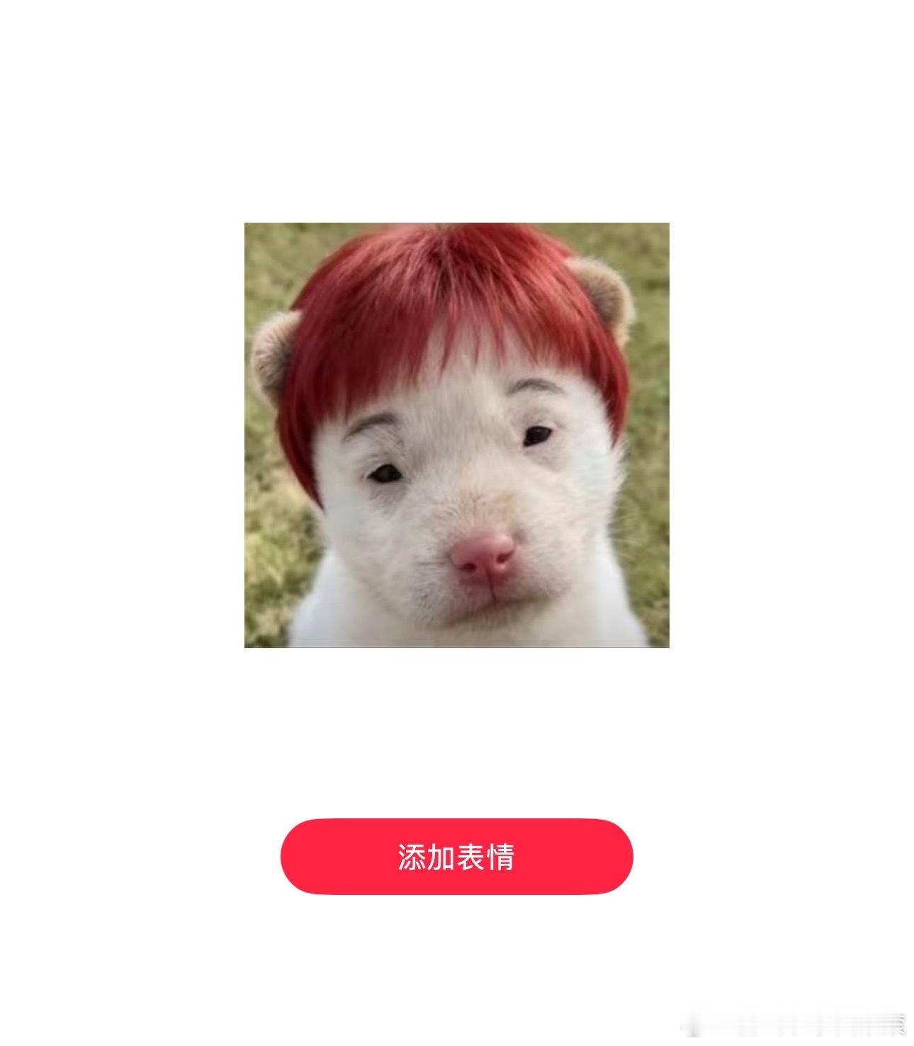 李荣浩钓鱼像我奶穿针我不行了！这表情包谁做的啊！可恶！ 