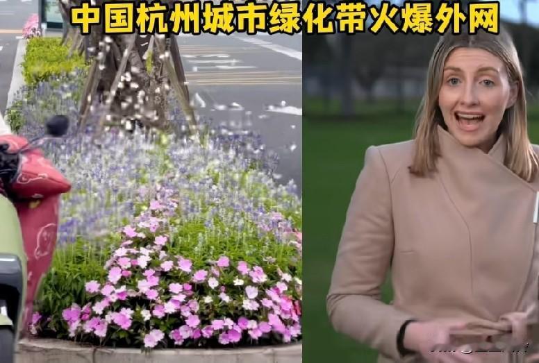 杭州城市绿化带火到国外了！
就在亚运村，路边都是蝴蝶。
杭州的绿化带都越来越卷了