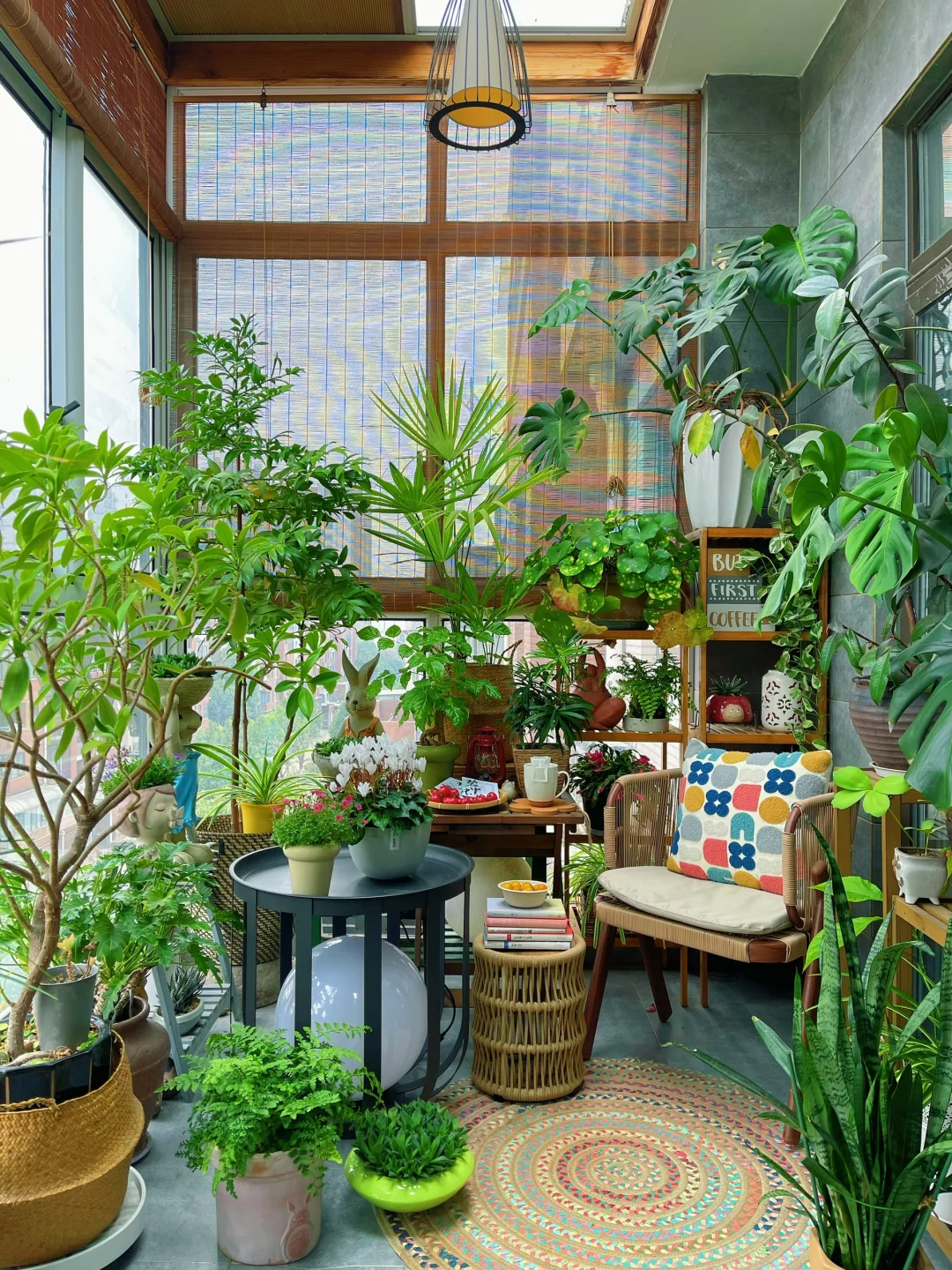 9m²｜聊聊阳台小森林的植物选择和布置