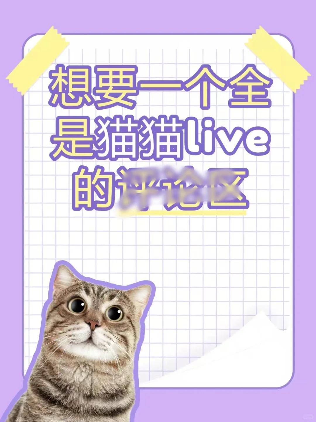 据说养猫的姐妹，都会忍不住到处晒猫✨
爱猫猫，更爱给猫猫拍live 我觉得只有l