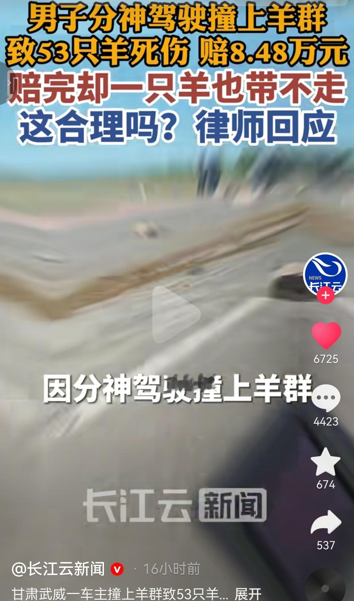 开车分神撞上53只羊，赔了8万多却一只羊都不能带走，很多人想不通
 
一件发生在