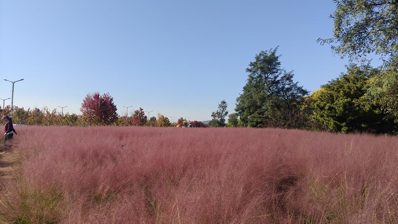李焕之先生创作出的《春节序曲》堪称杰作，一直都是中国人在春节期间最喜闻乐见、爱听