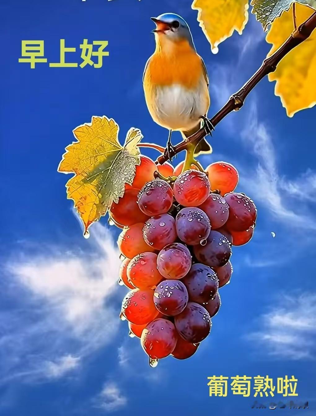 葡萄成熟鲜欲滴，
​小鸟登枝笑嘻嘻。
​试着啄嘴尝一口，
​眉开眼笑甜心里。