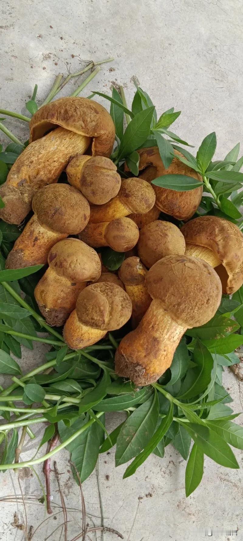 两个月前，大姐问我一个月写文章可以挣多少？我说30000元出头（其实当时还没有到