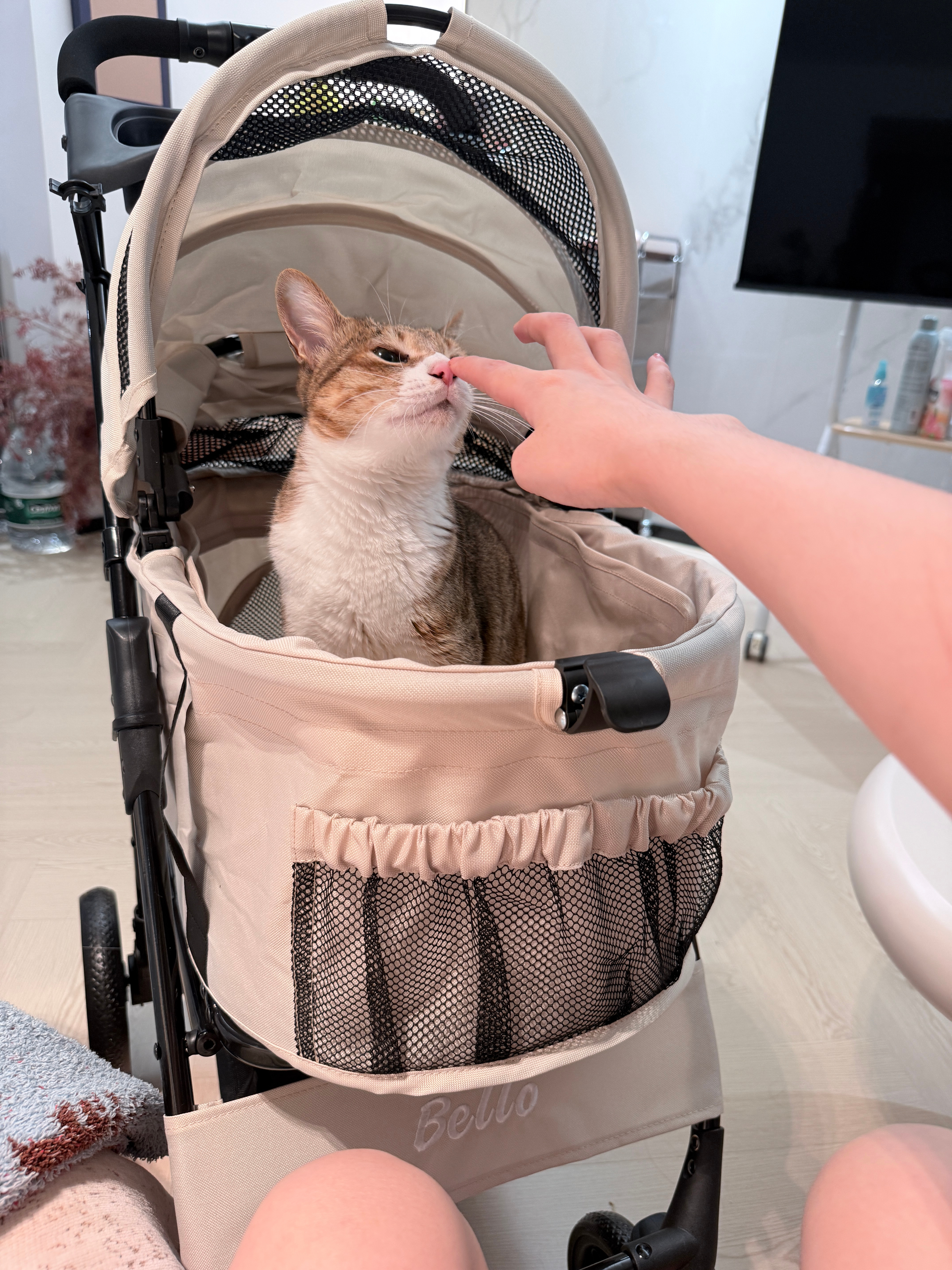 会不会太萌了 ​​​