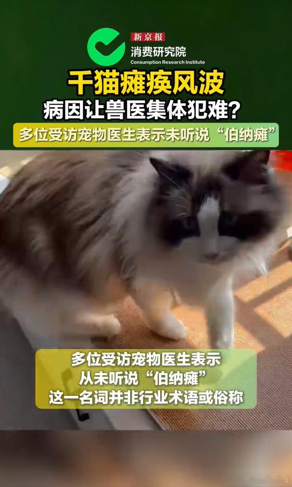 刷到很多猫咪瘫痪的片面解读，亲身经历后才知道真相。很多猫咪突发后肢异常，全套体检