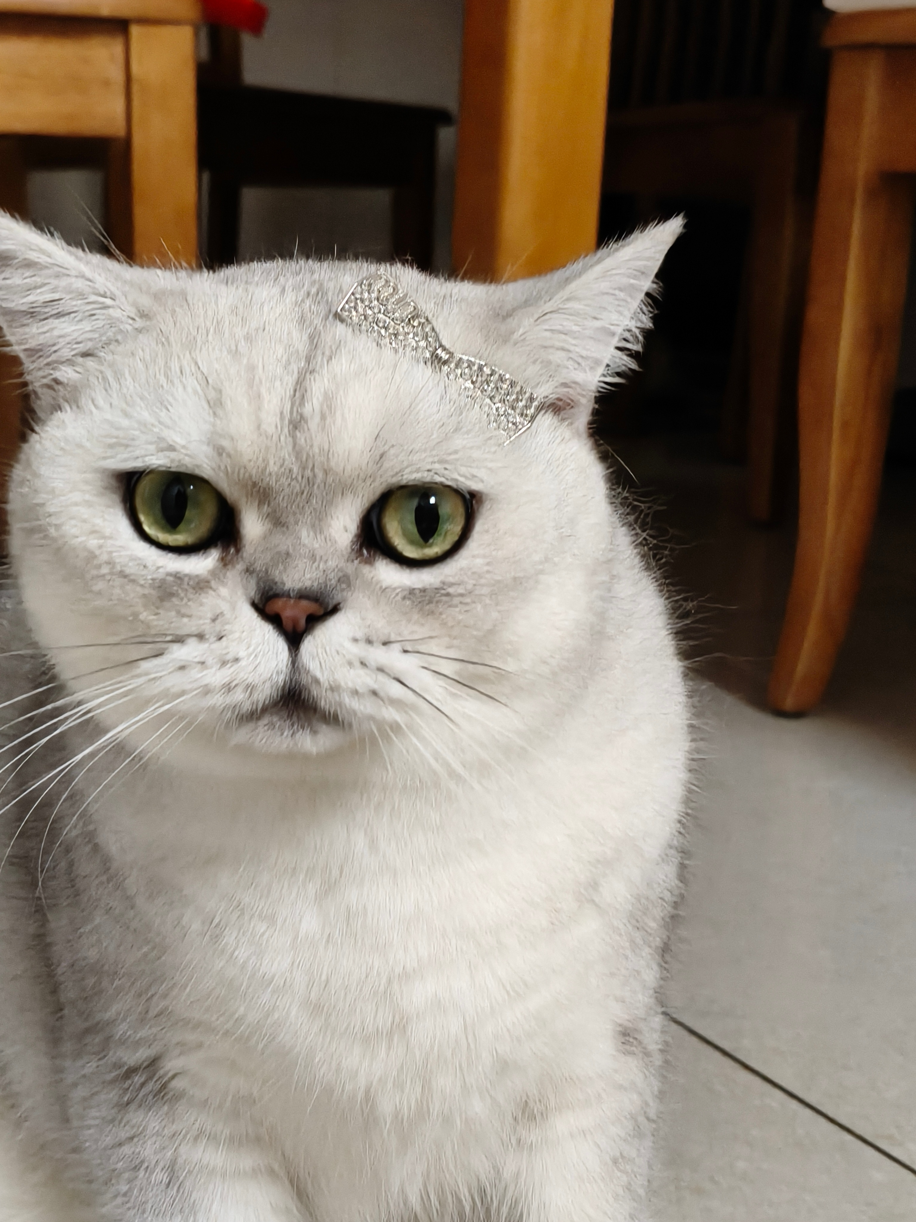 Hello kitty🐱 ​​​