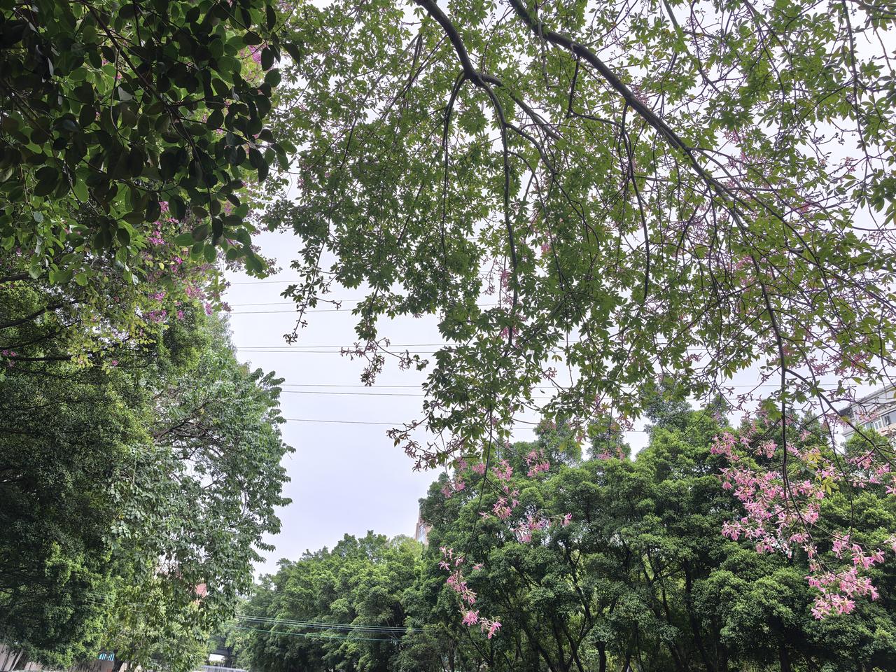 广州市公安局花都分局发布警情通报：12月5日17时47分，我区花城北路发生一起交