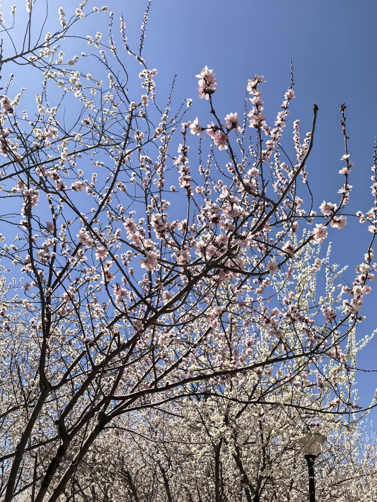 用一句话证明你已经老了在不知不觉中，总是回忆过去，想看年轻的时候，想年轻时的盼望