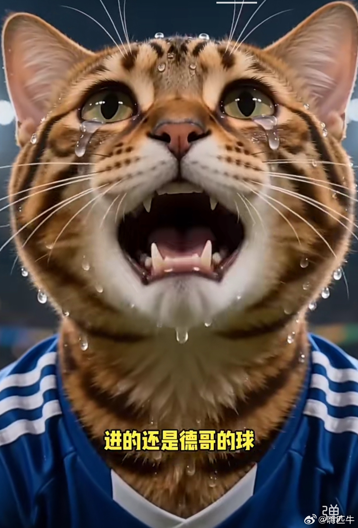 德国战车好猛我看好德国夺冠 