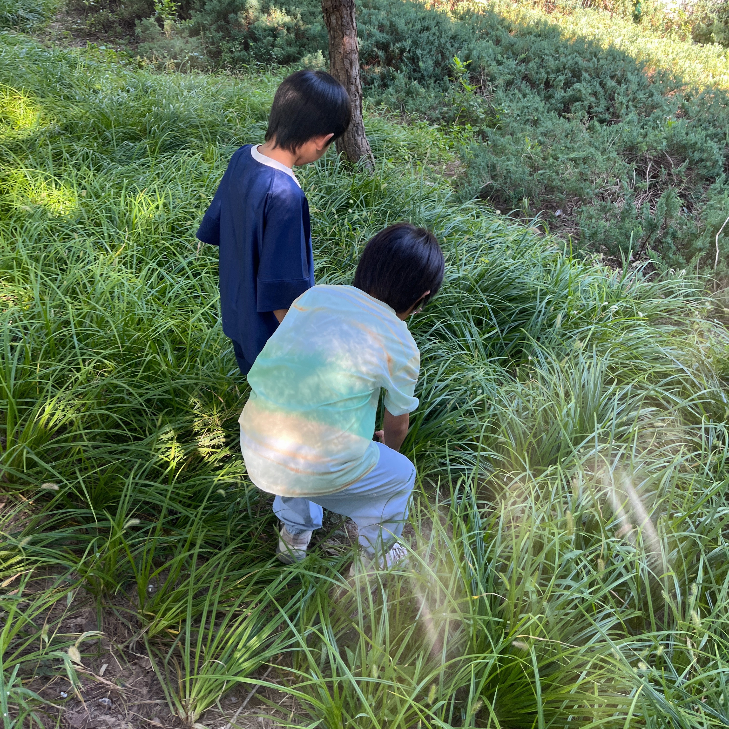老师今天问大家：什么事情是不能在教室做的？小8:把老师打哭老师：哈哈哈哈大人可不