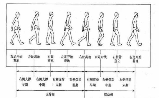 步态分析
