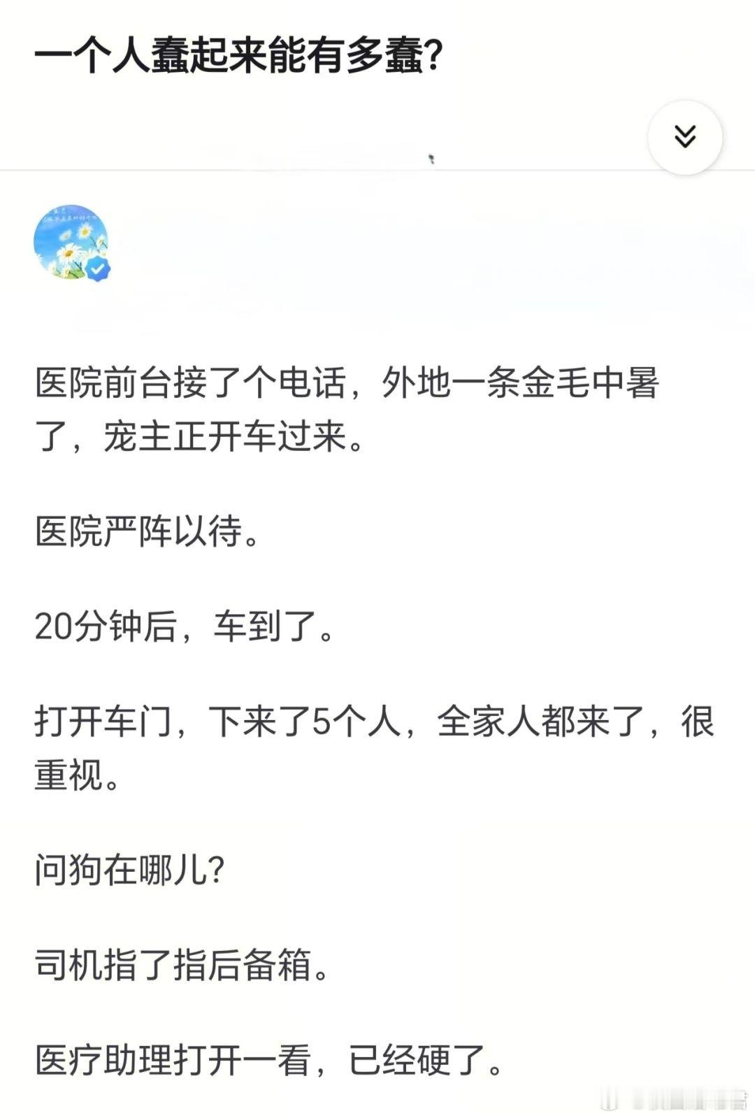 一个人蠢起来能有多蠢？ ​​​