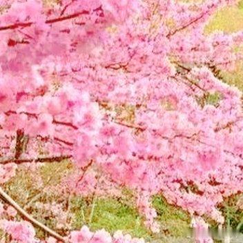 ʜᴀ͟ᴘ͟ᴘ͟ʏᴇᴠᴇʀʏᴅᴀʏ̆̈❤ 生活原本沉闷，但跑起来就有风 我们最好的