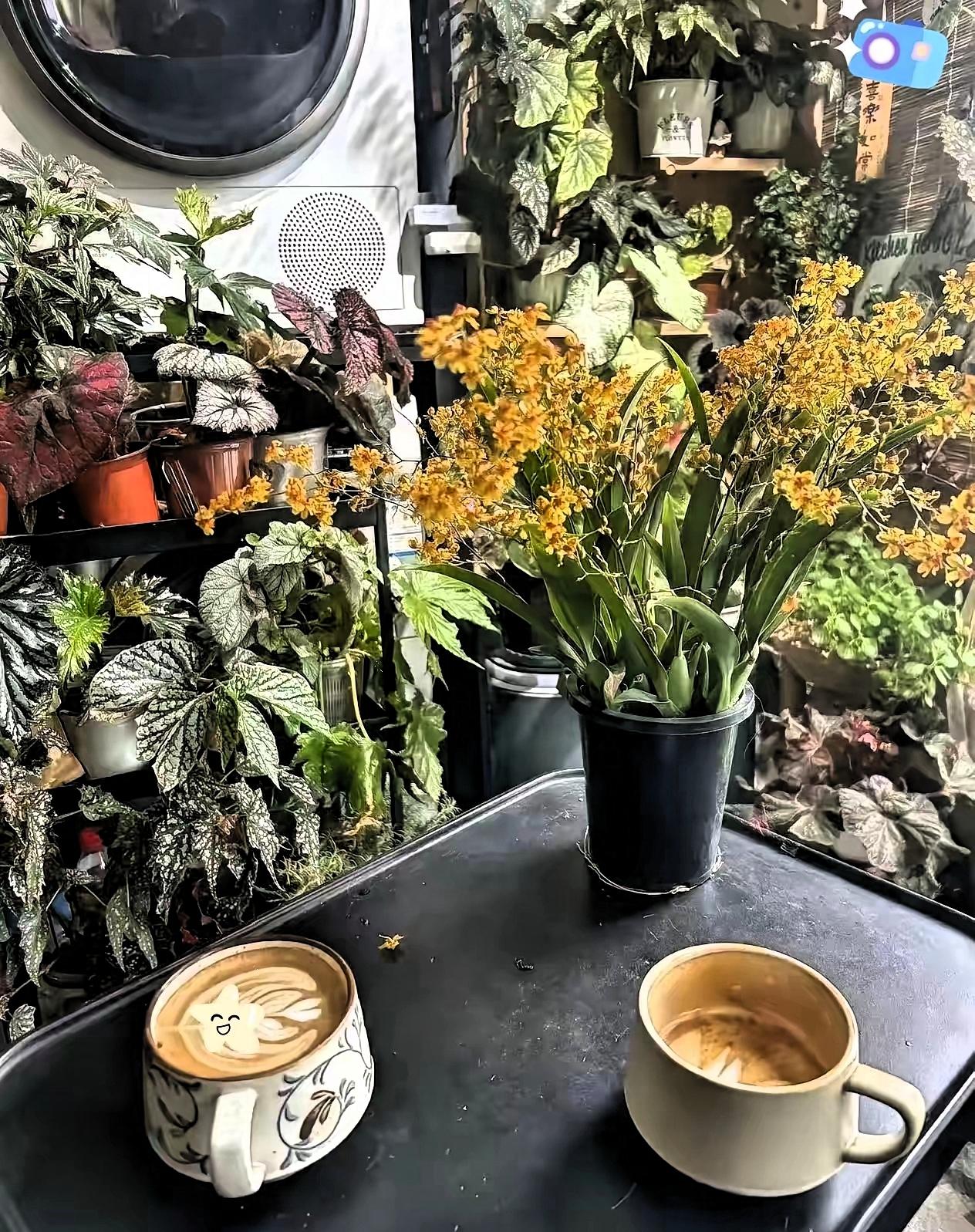 今天上午一激灵，股票，基金全部清仓。
20年的老股民了。今天上午全部清仓了，花了