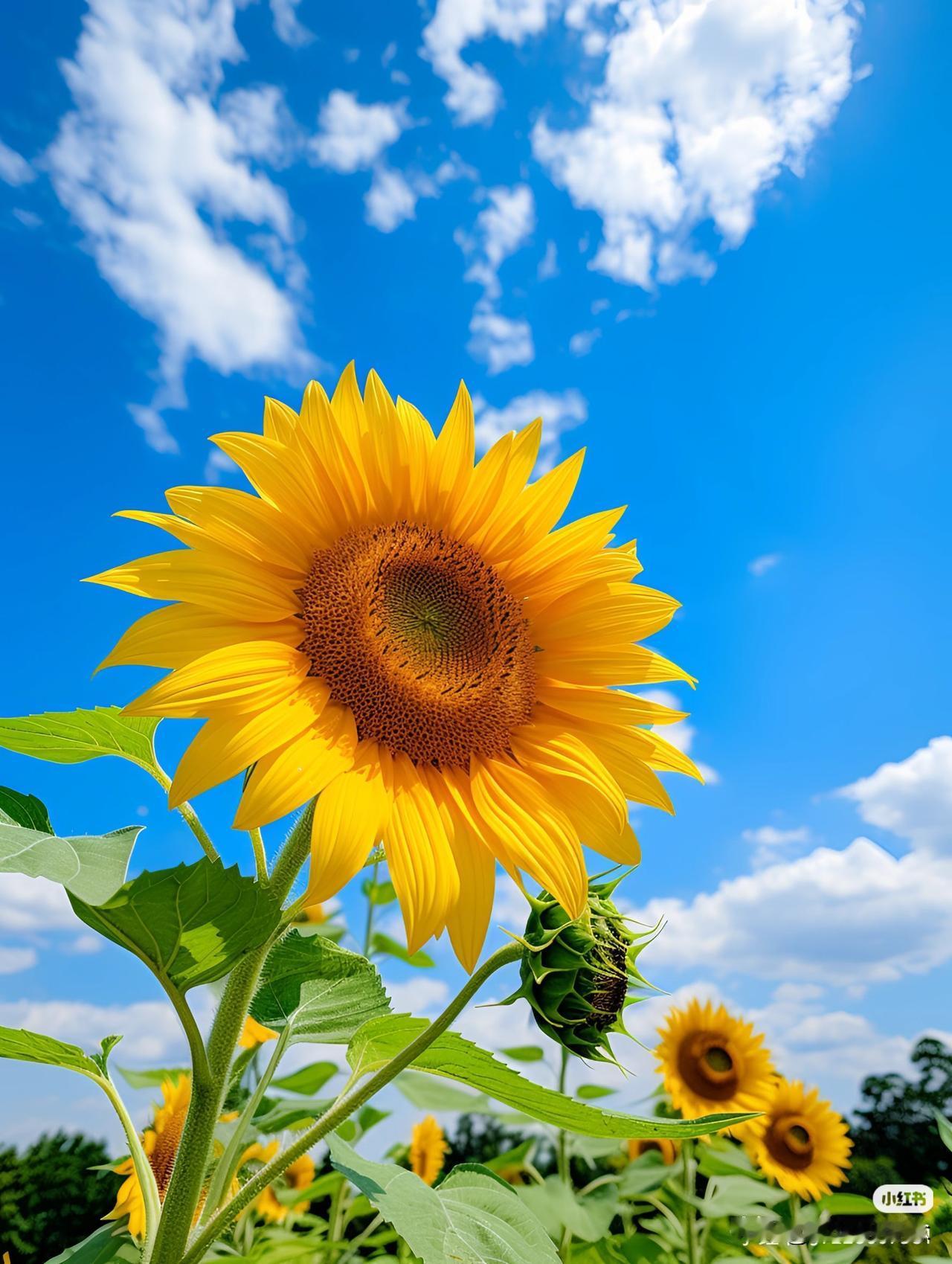 明天跟意外，哪个先来