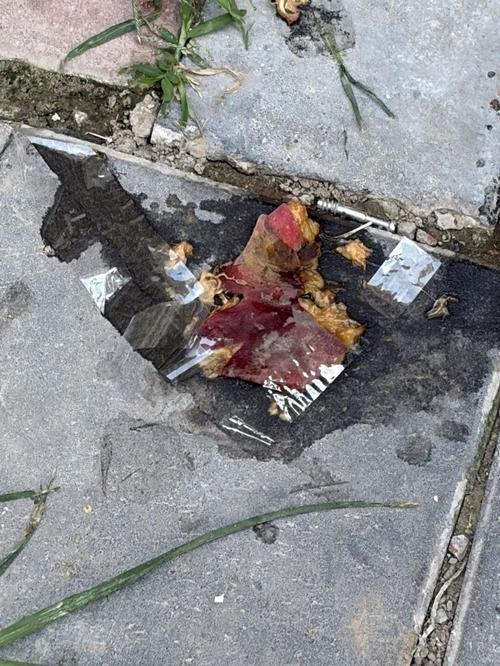 女子图省事从9楼连扔6个烂桃被刑拘，这事儿真是让人惊掉下巴。7月28日14时许，