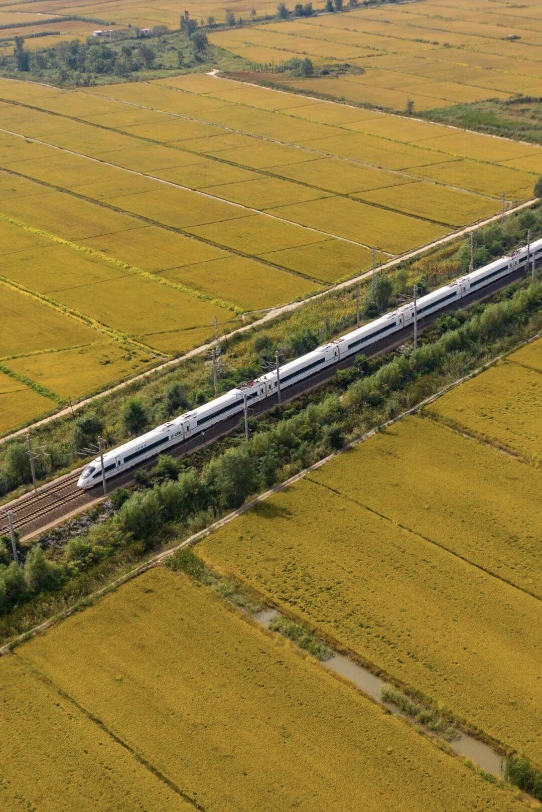 沿106国道全线是否修建铁路需分区域看待，不能一概而论。

在106国道黄石铁山