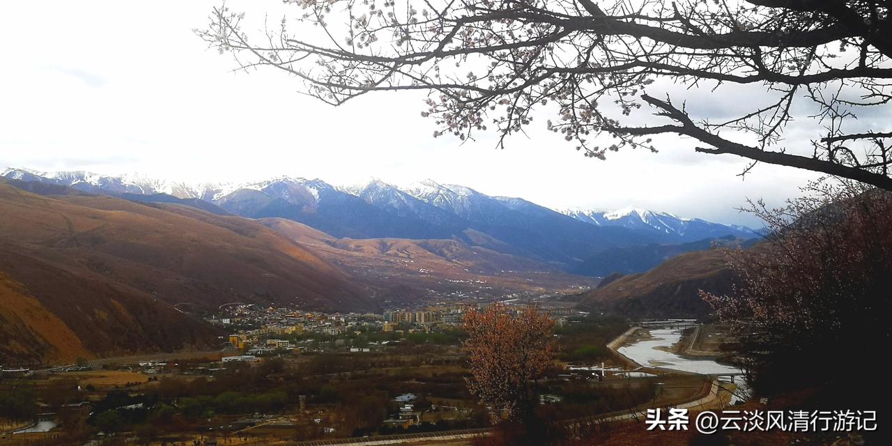 道孚县洛瓦尔村，碧绿的鲜水河畔，百年古杏遒劲张扬，粉白杏花缀满枝丫，簇簇繁花点缀