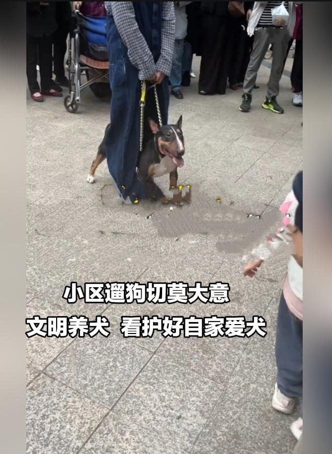 惊心！小区宠物狗突发失控，多人不幸被咬伤
 
遛狗千万不能掉以轻心。四川眉山仁寿