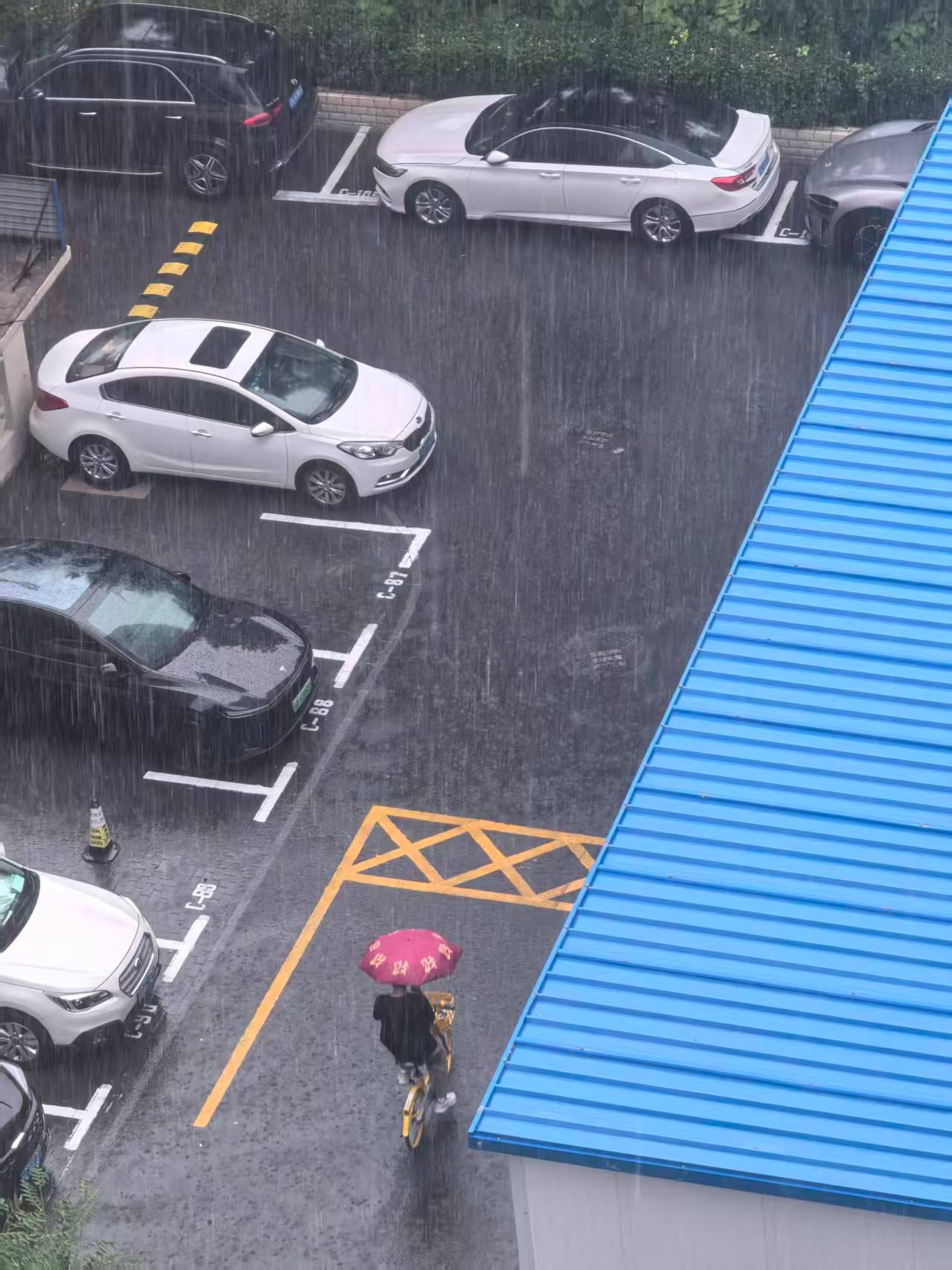 早安 今天好多地区都有暴雨，大家出行注意安全，你那儿下雨了吗？哨位日历