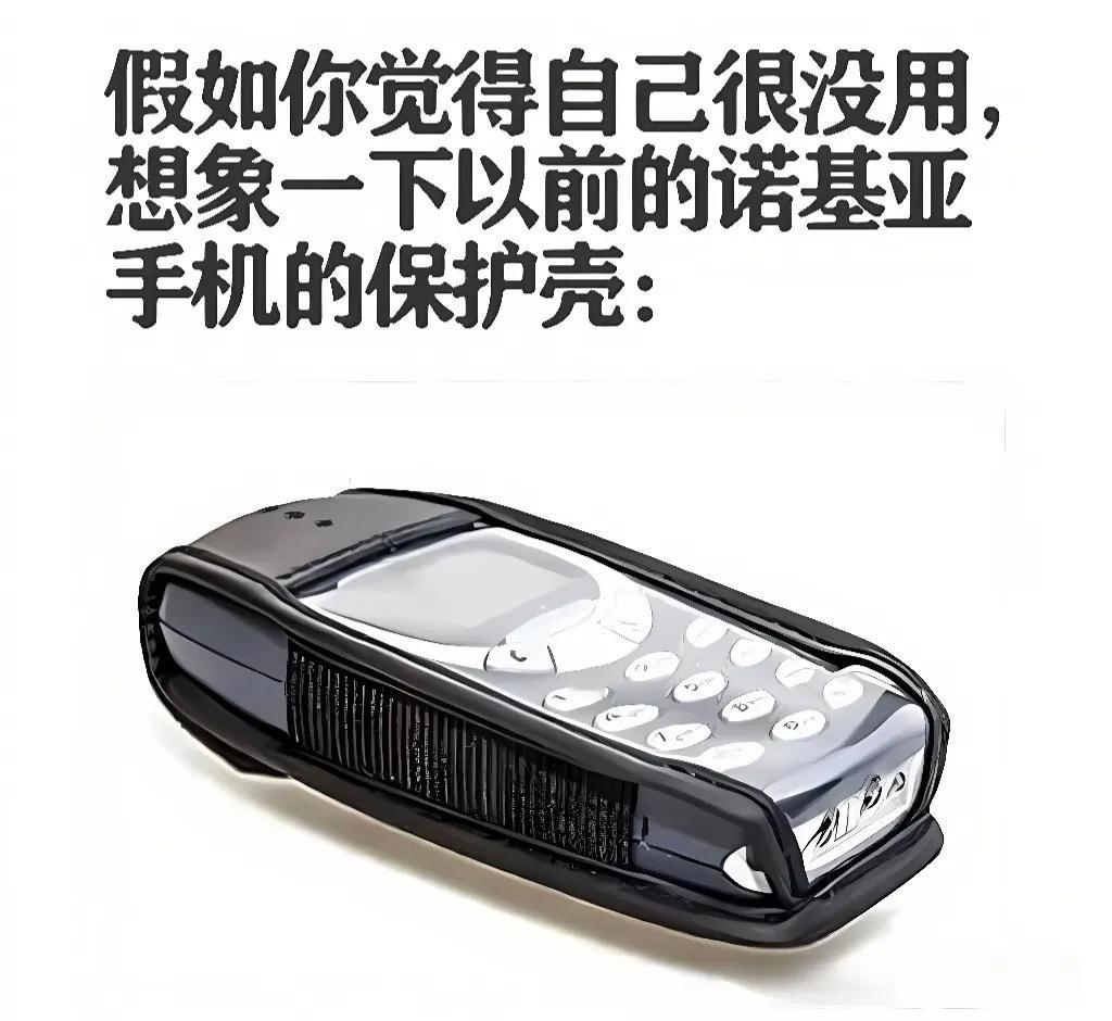 其实诺基亚手机壳是用来保护地板的[笑cry] ​​​