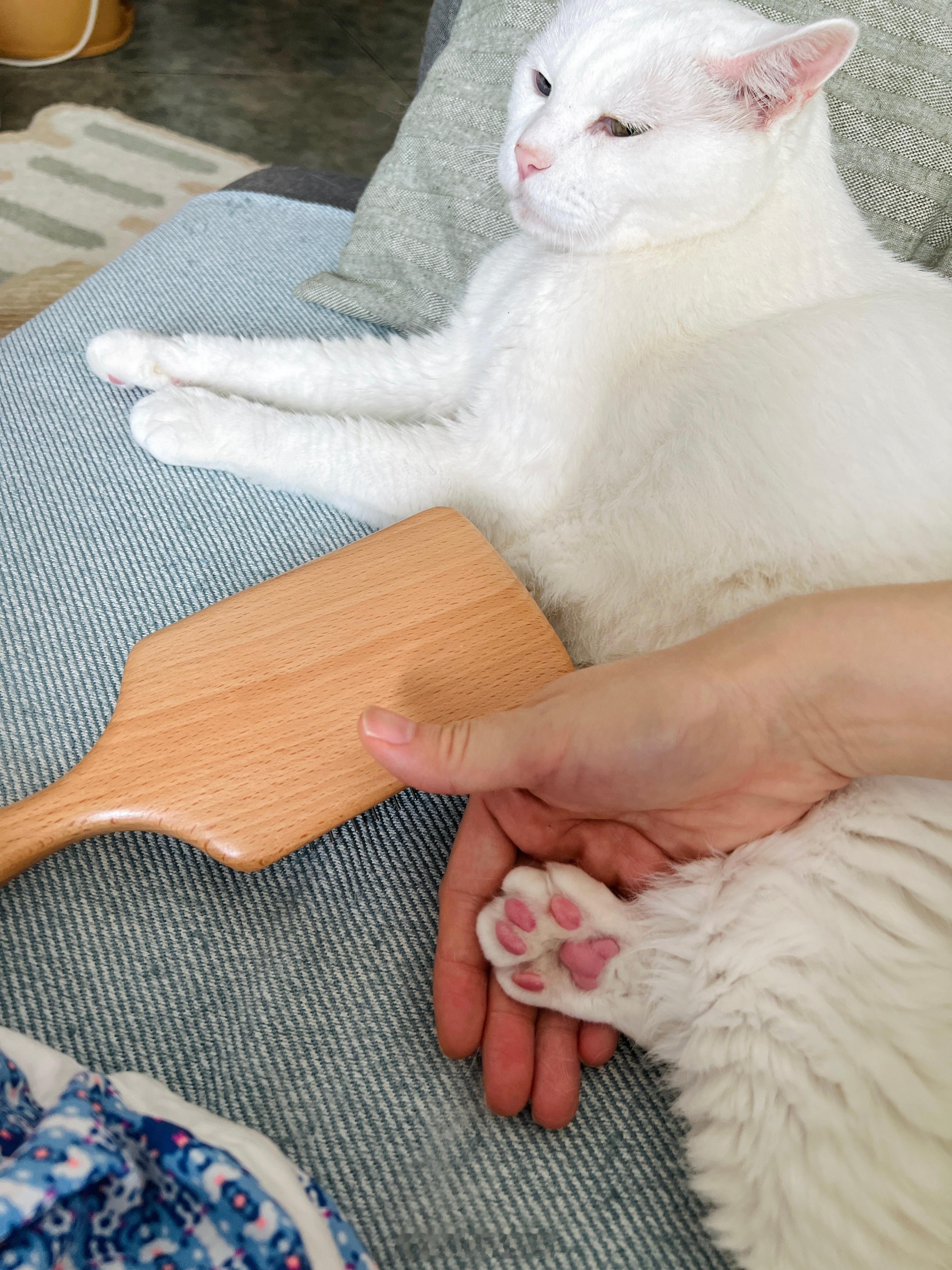 熱到腳底開花🌸 ​​​