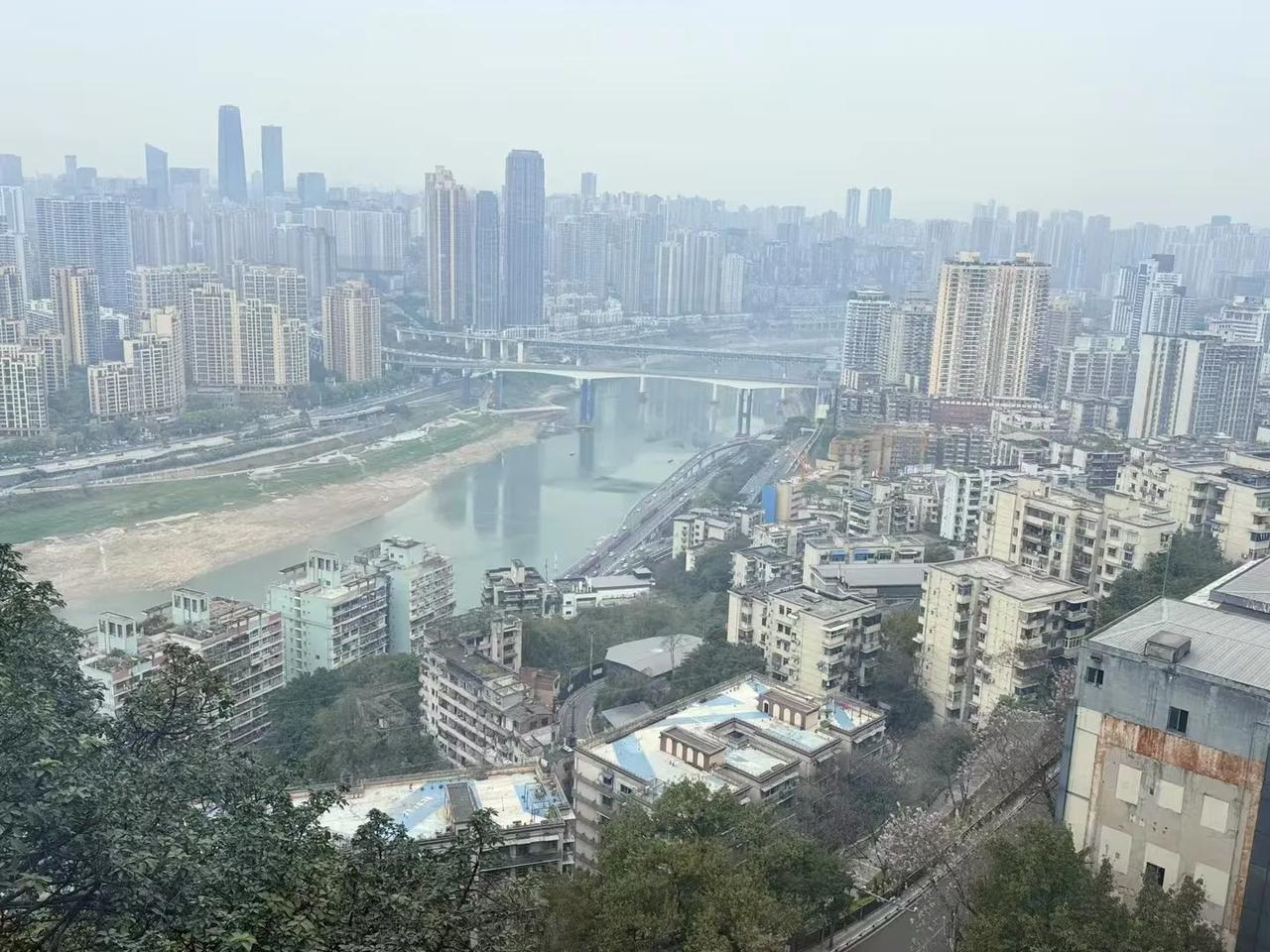 你随机拍摄的照片哪张让你最惊喜
