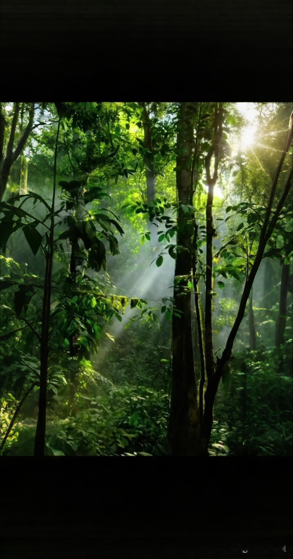 致敬！40万公里外的人类星辰英雄
 
今天，注定被载入人类探索的光辉史册。几个小