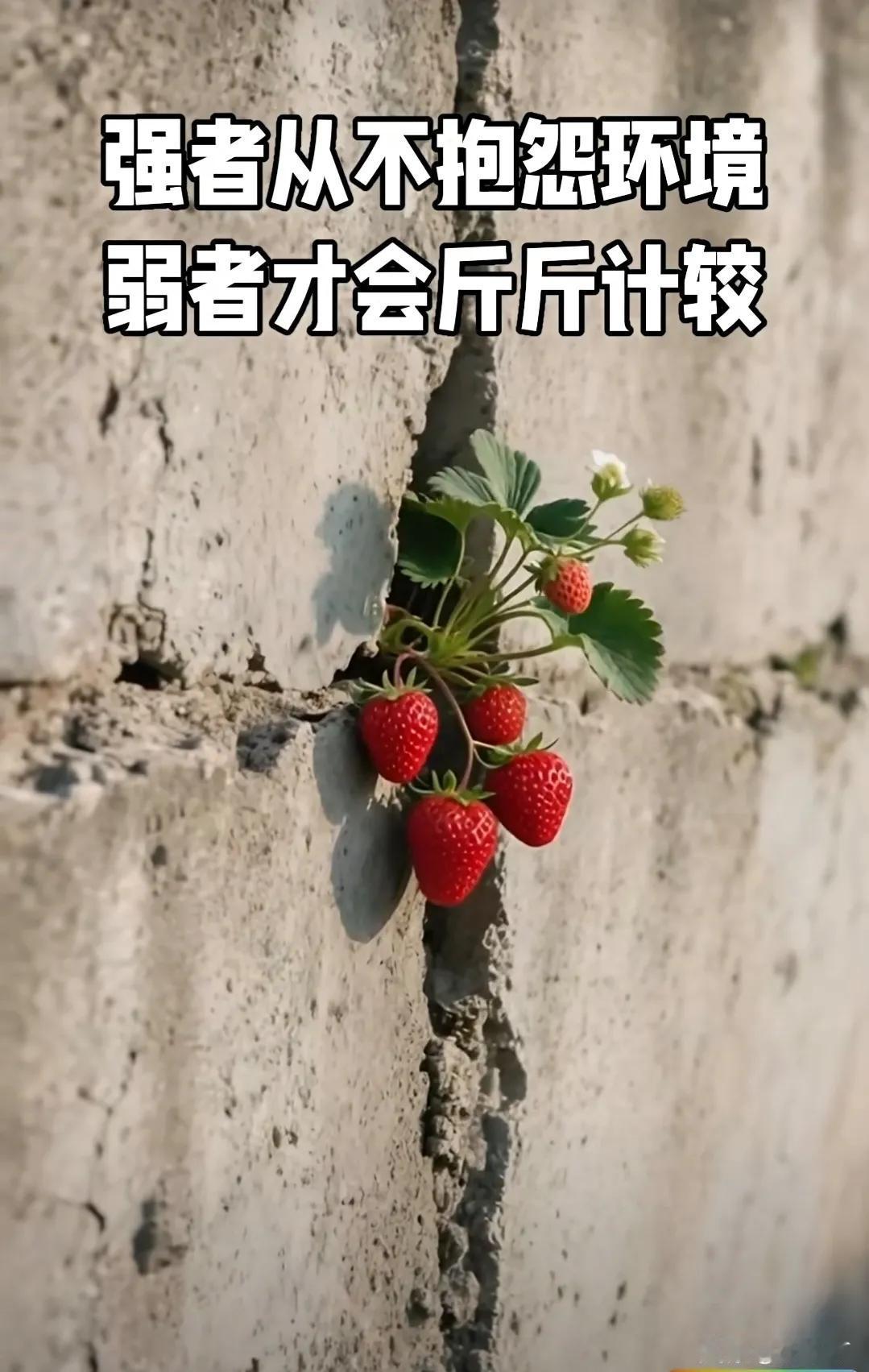 我被骗了5000块钱
我太渴望挣到钱了

一次偶然的机会在视频号上看到学自媒体运