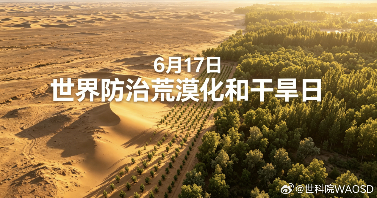 沙漠无罪，沃土变荒才是真危机｜6·17世界防治荒漠化和干旱日风卷黄沙、土地干裂、