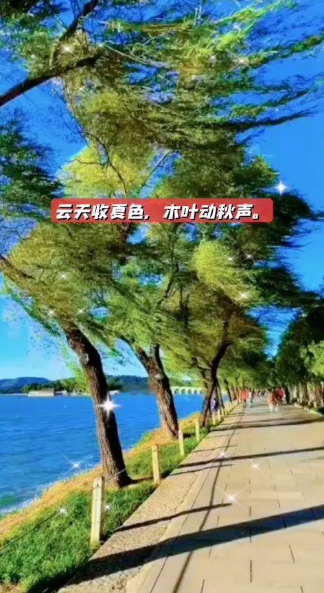 时光荏苒，已经初秋了！