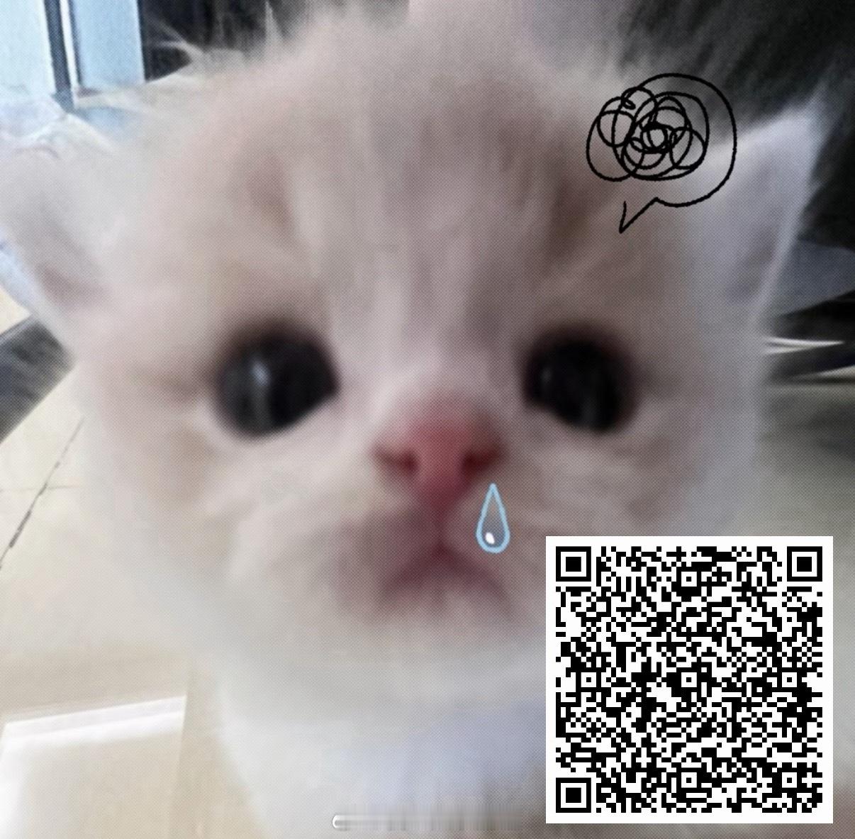 gryz 继续咔这个人不够再做 ​​​