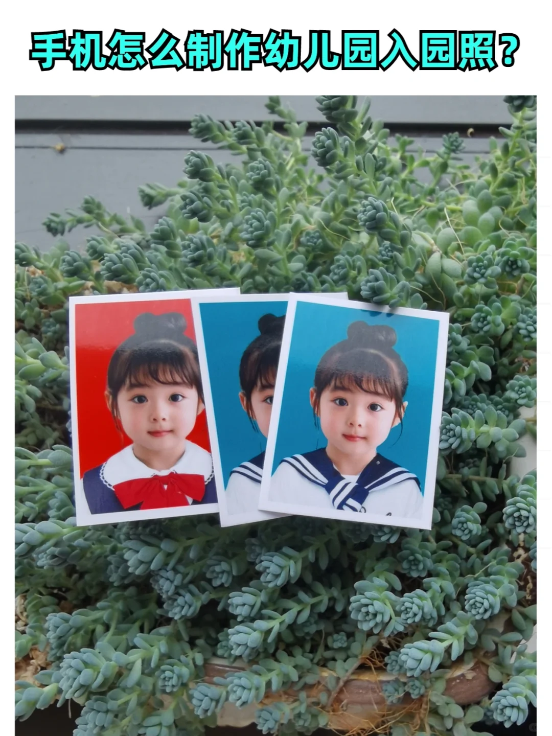 幼儿园入园证件照