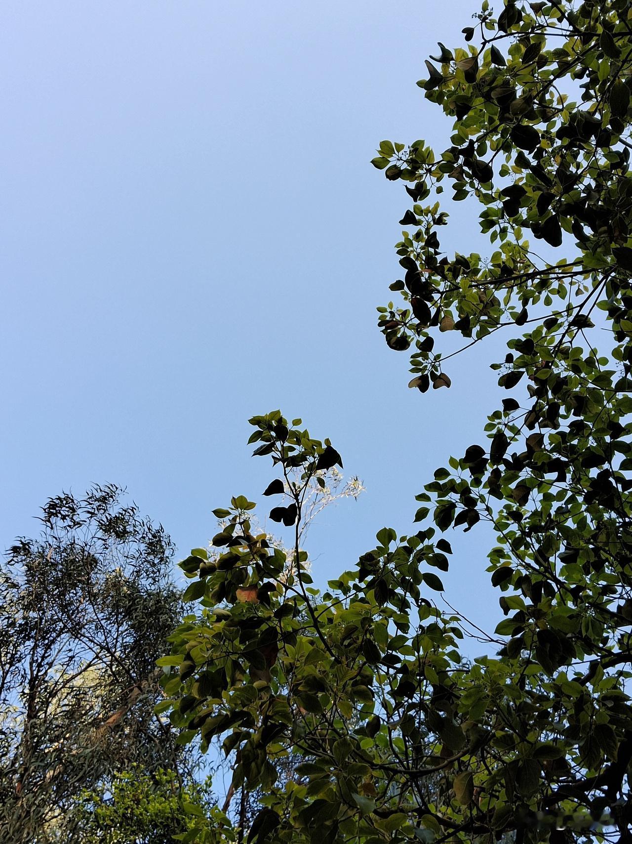 顶级的养生，是养成一种习惯
一、早起后一杯温水，助排毒，激活细胞。
二、200下