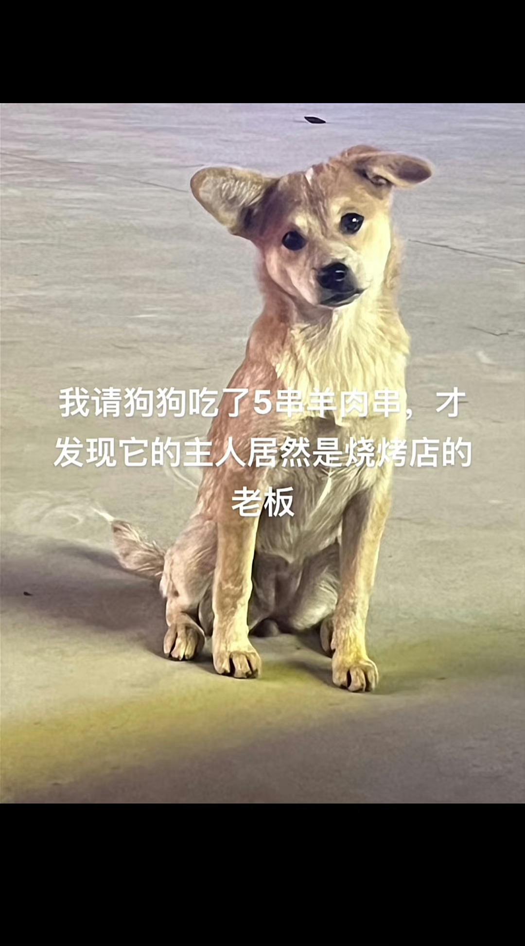 ？？？ ​​​