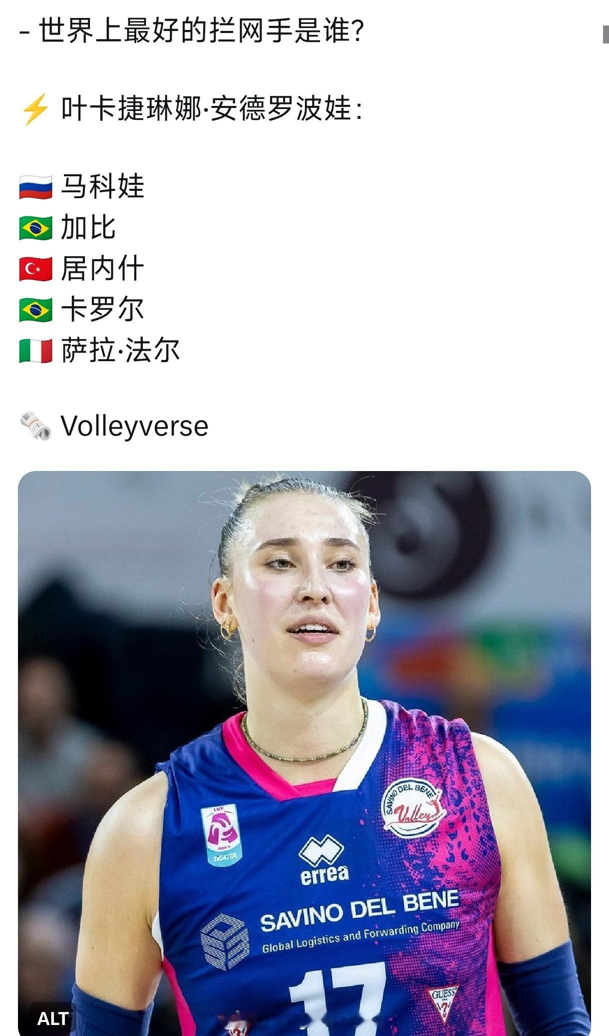 问安娃拦网最好的有谁？这个……