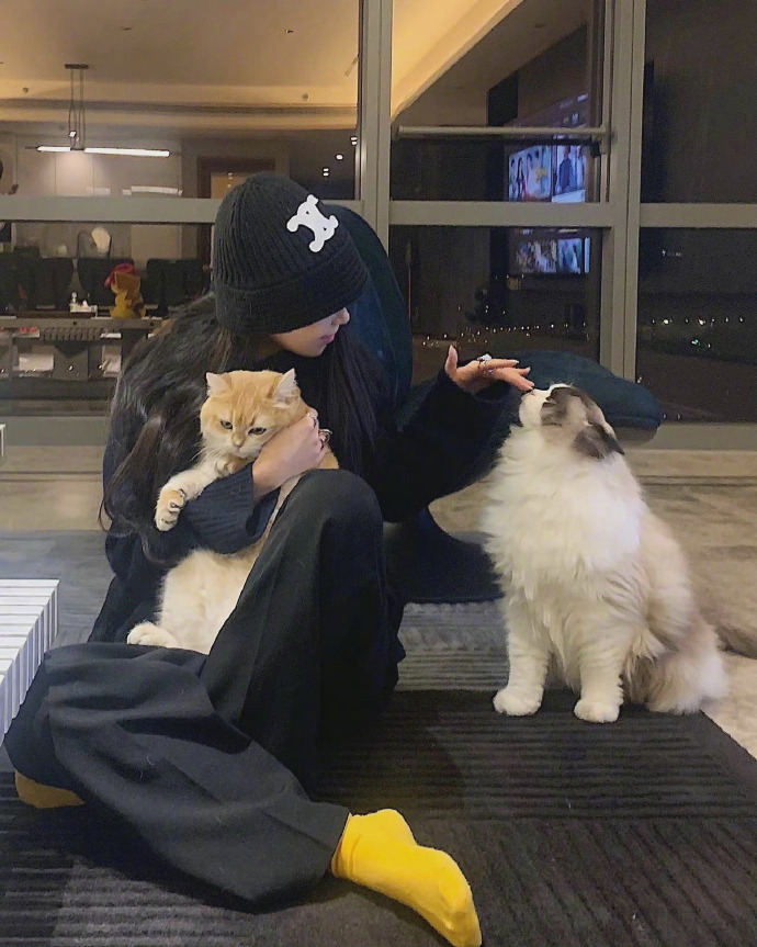 为什么生活中离不开葱姜蒜？因为：人生葱葱，能姜就就姜就，不能姜就，就蒜了。 