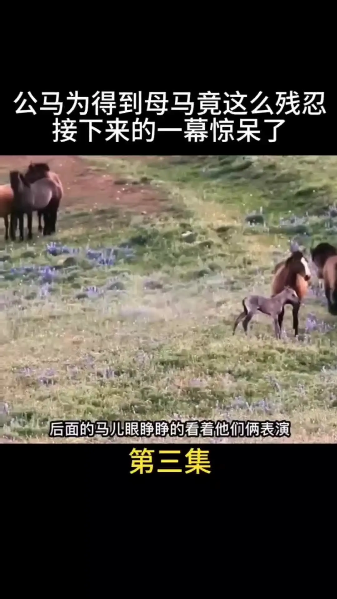 动物世界
