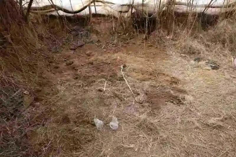 就是这个坑，埋了13岁的小光，3个13岁的少年和他们老道的手段，成了鲜明对比。谁