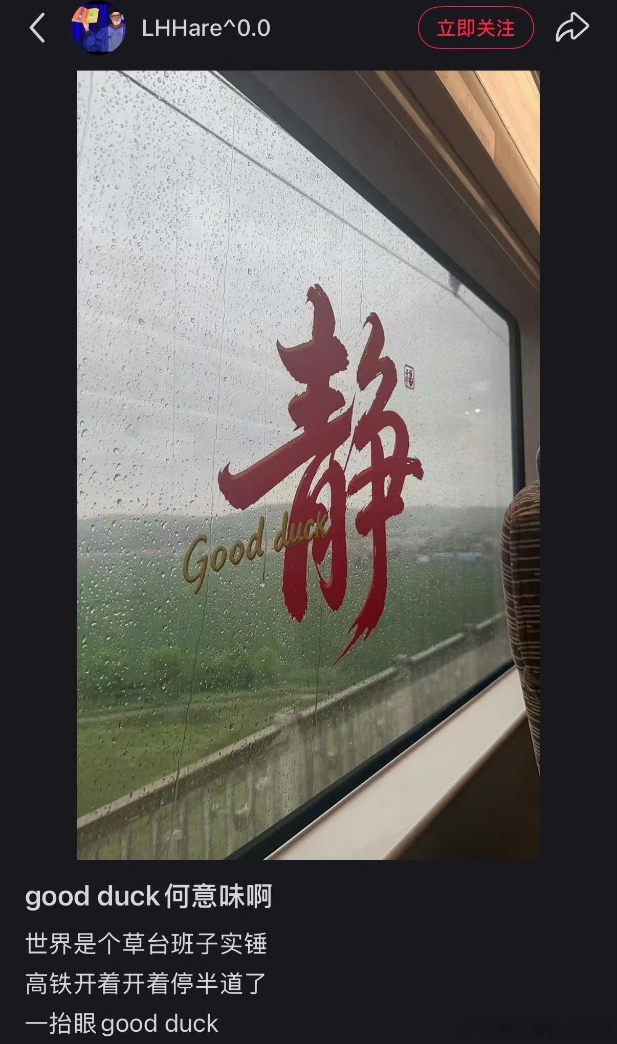好安静鸭 