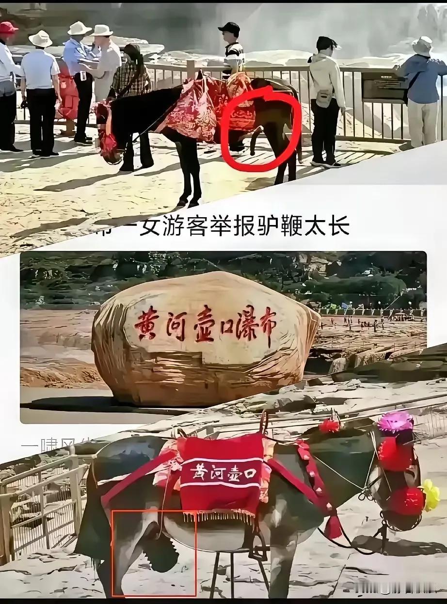 驴说，我日你八辈祖宗！[捂脸]