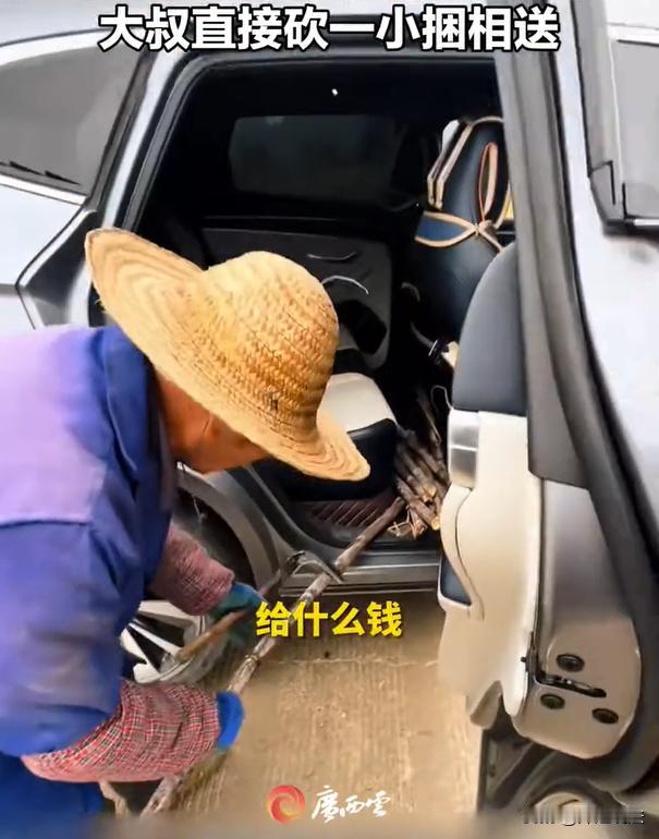 广西，好客的乡亲们就是大气！一男子开车自驾游来到广西境内，看到当地村民在收割甘蔗