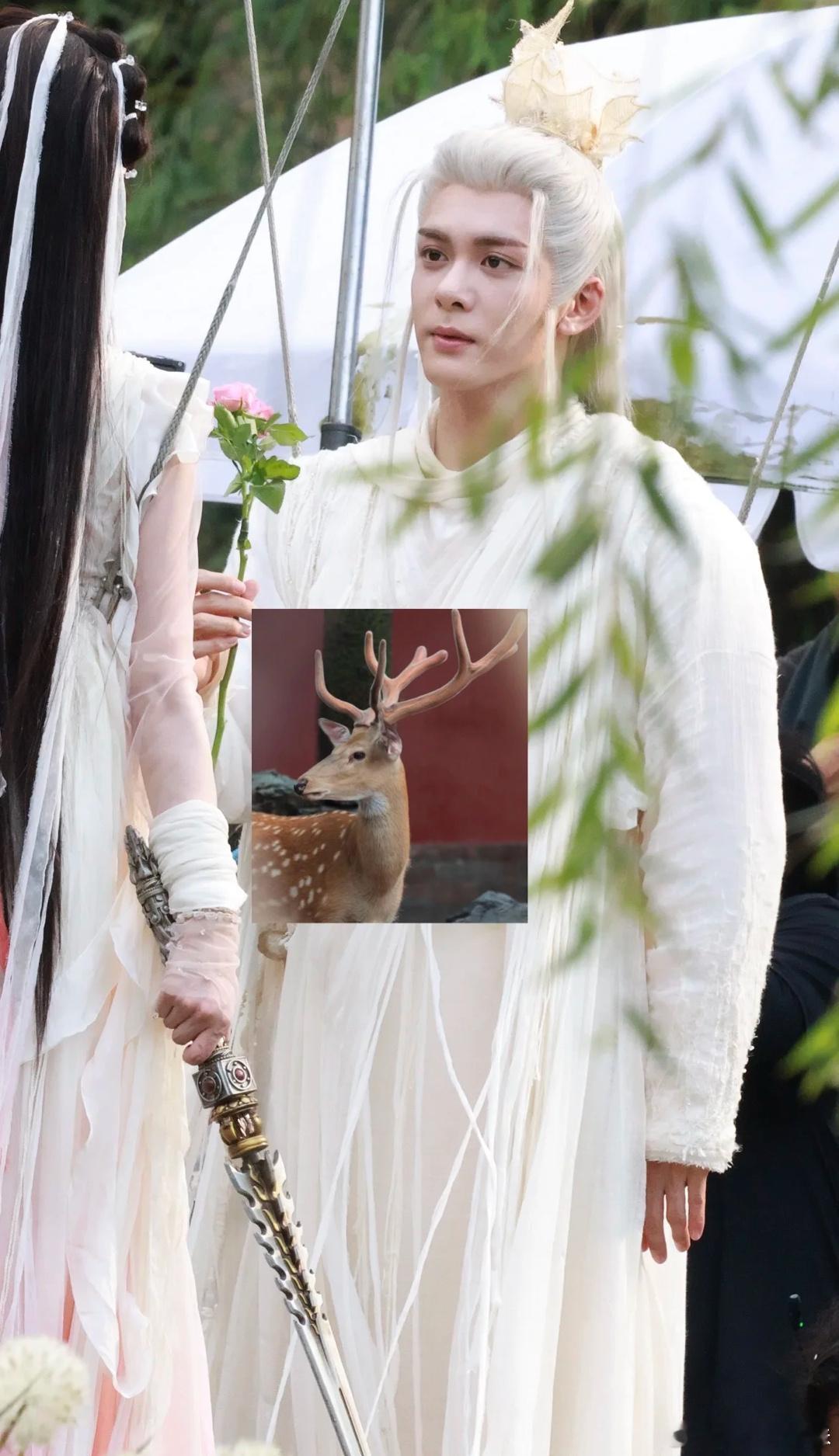 过去现在未来、都离不开花。论临江仙“花”的重要性。 ​​​